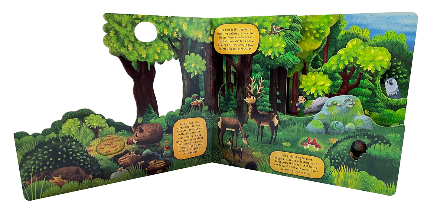 Exploring the Fascinating World of the Forest - Fox Chapel Publishing Co.