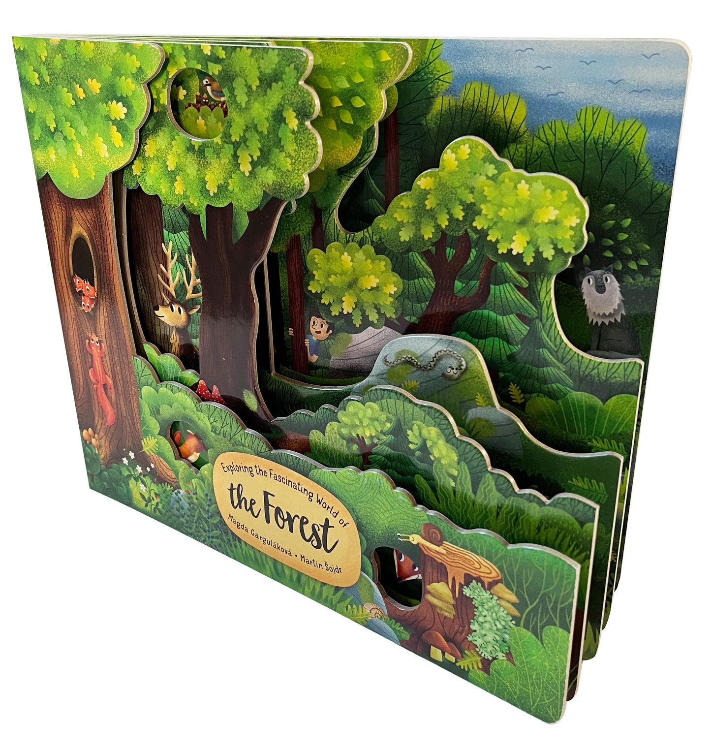 Exploring the Fascinating World of the Forest - Fox Chapel Publishing Co.