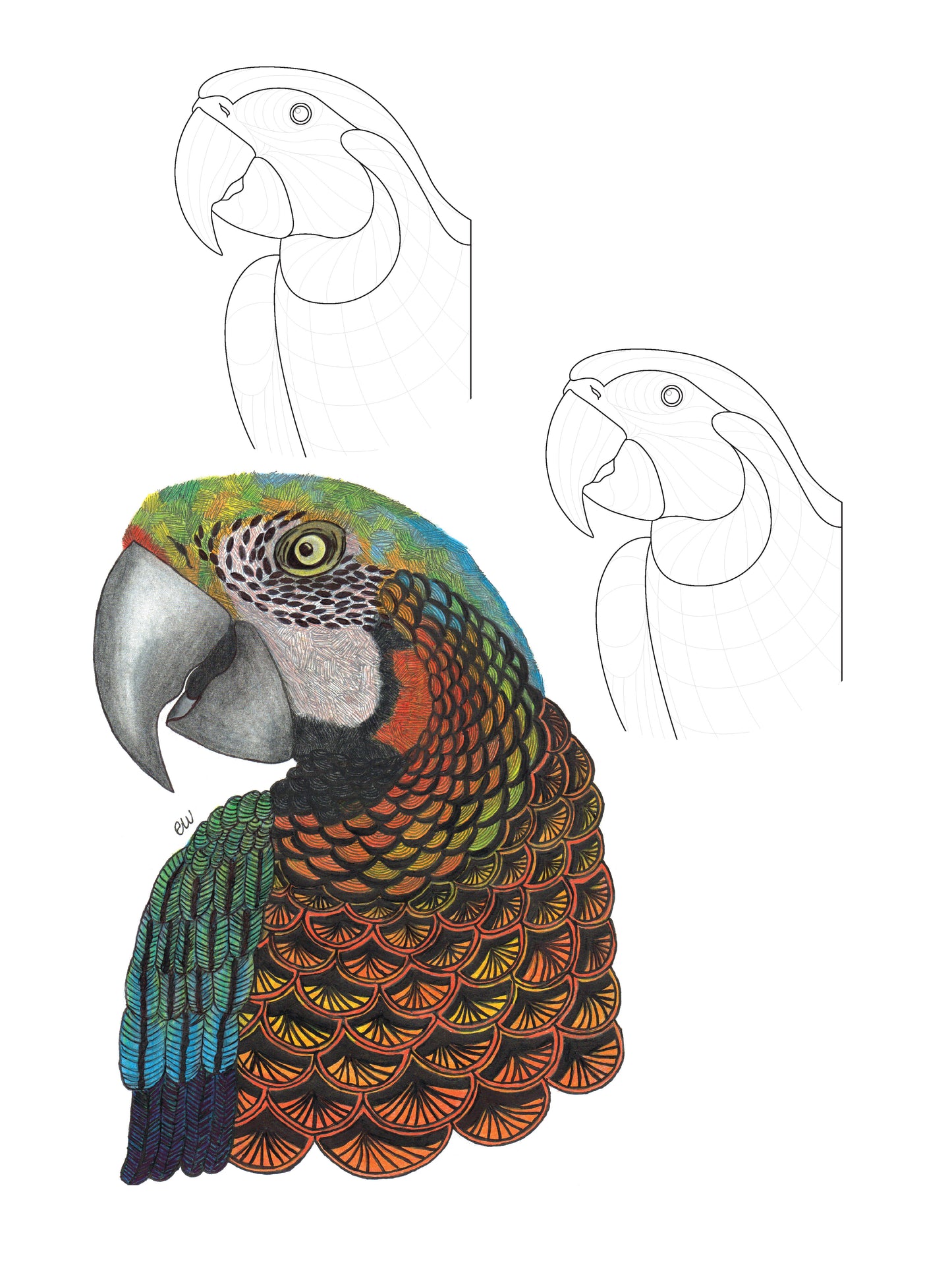TangleEasy Lined Journal Parrot - Fox Chapel Publishing Co.