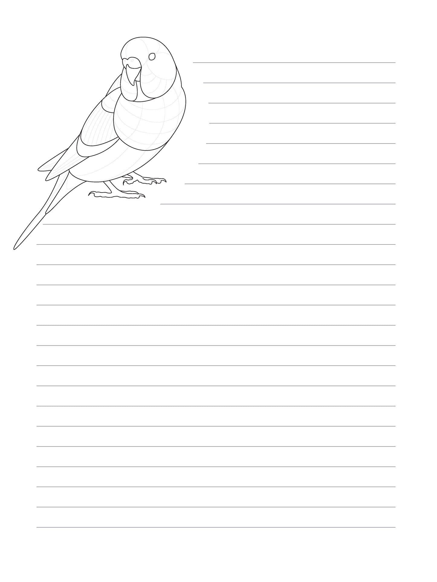 TangleEasy Lined Journal Parrot - Fox Chapel Publishing Co.