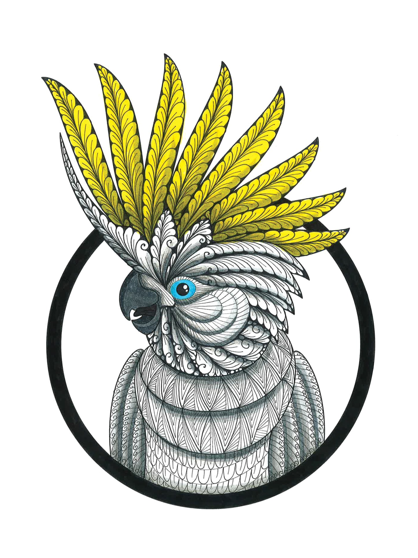 TangleEasy Lined Journal Parrot - Fox Chapel Publishing Co.