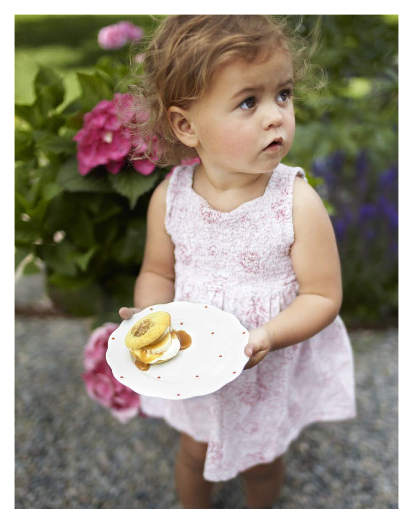 Hello Cupcake! - Fox Chapel Publishing Co.