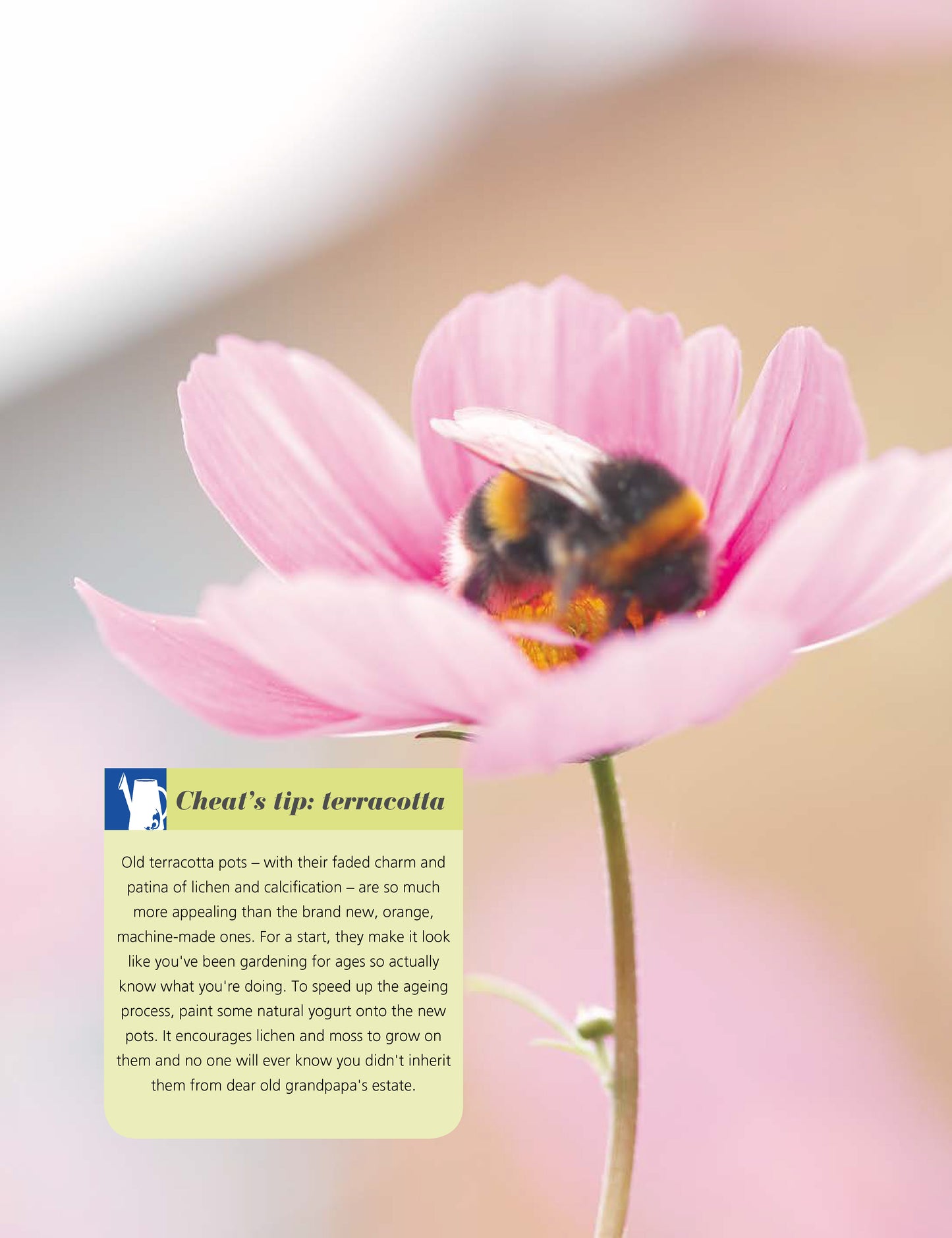 Girl's Guide to Growing Your Own, The - Fox Chapel Publishing Co.