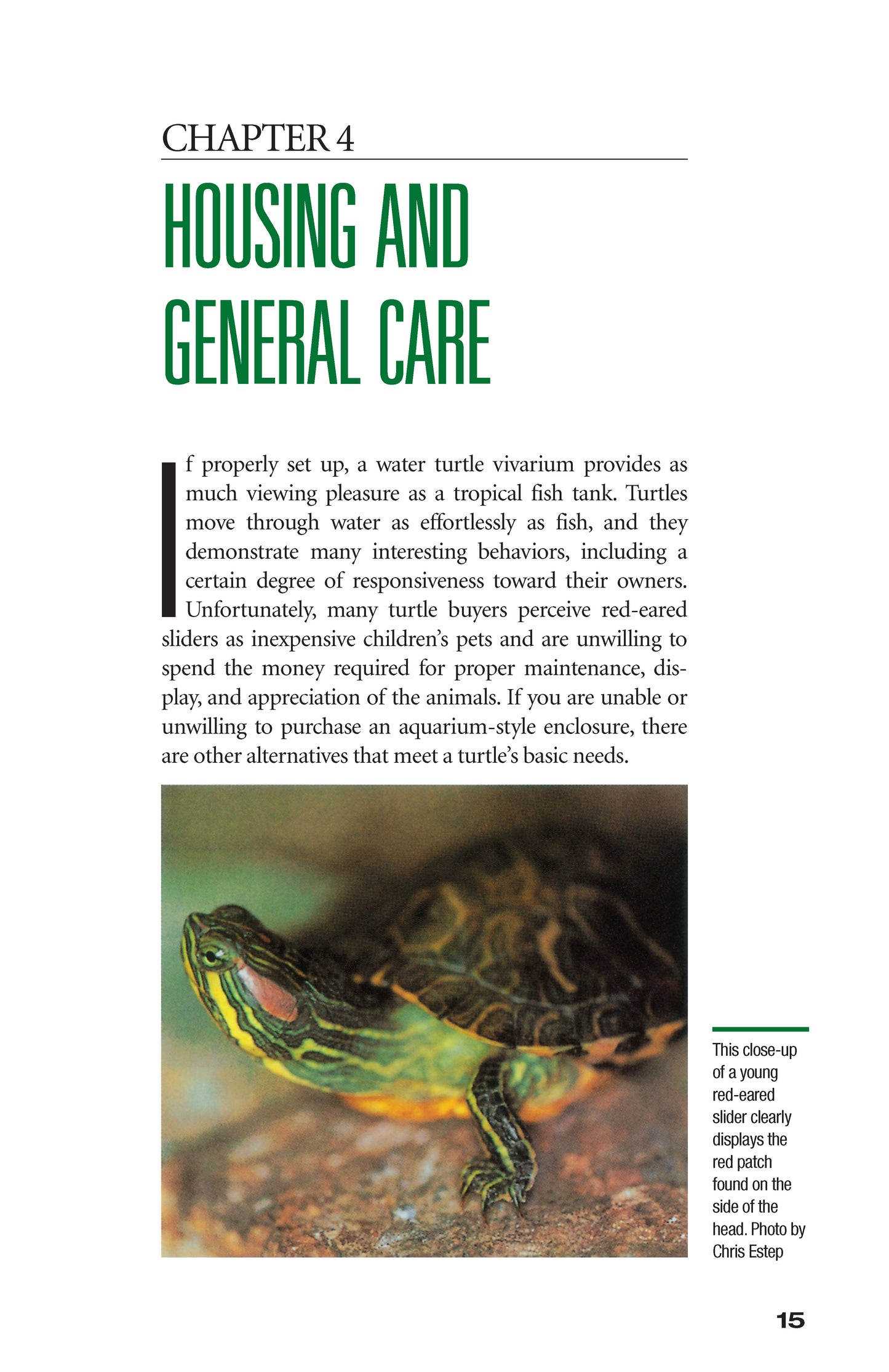 Red-Eared Sliders