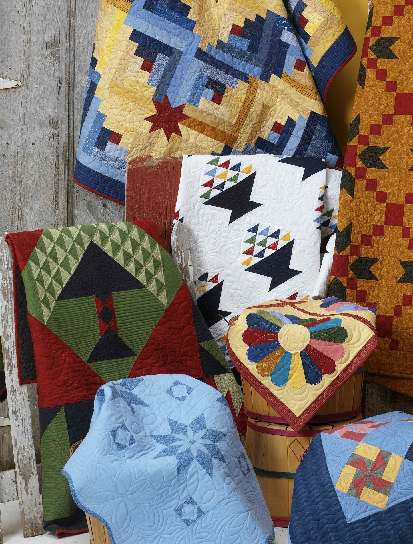 Quilts from a Painter's Art - Fox Chapel Publishing Co.