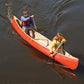 Canoeing The Essential Skills & Safety