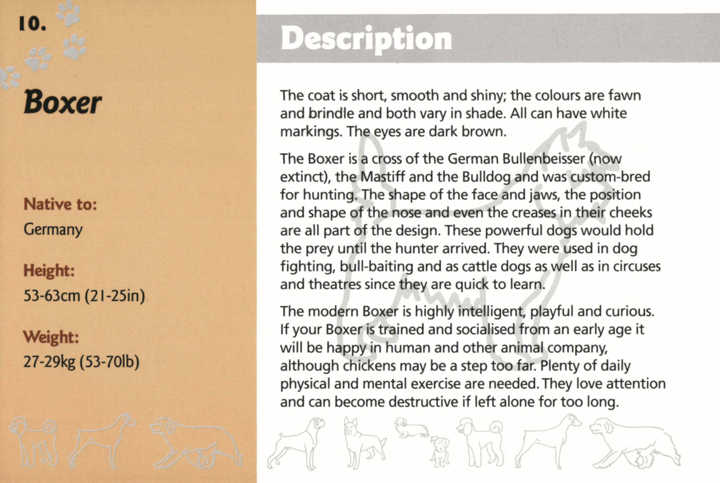 Know Your Dogs - Fox Chapel Publishing Co.