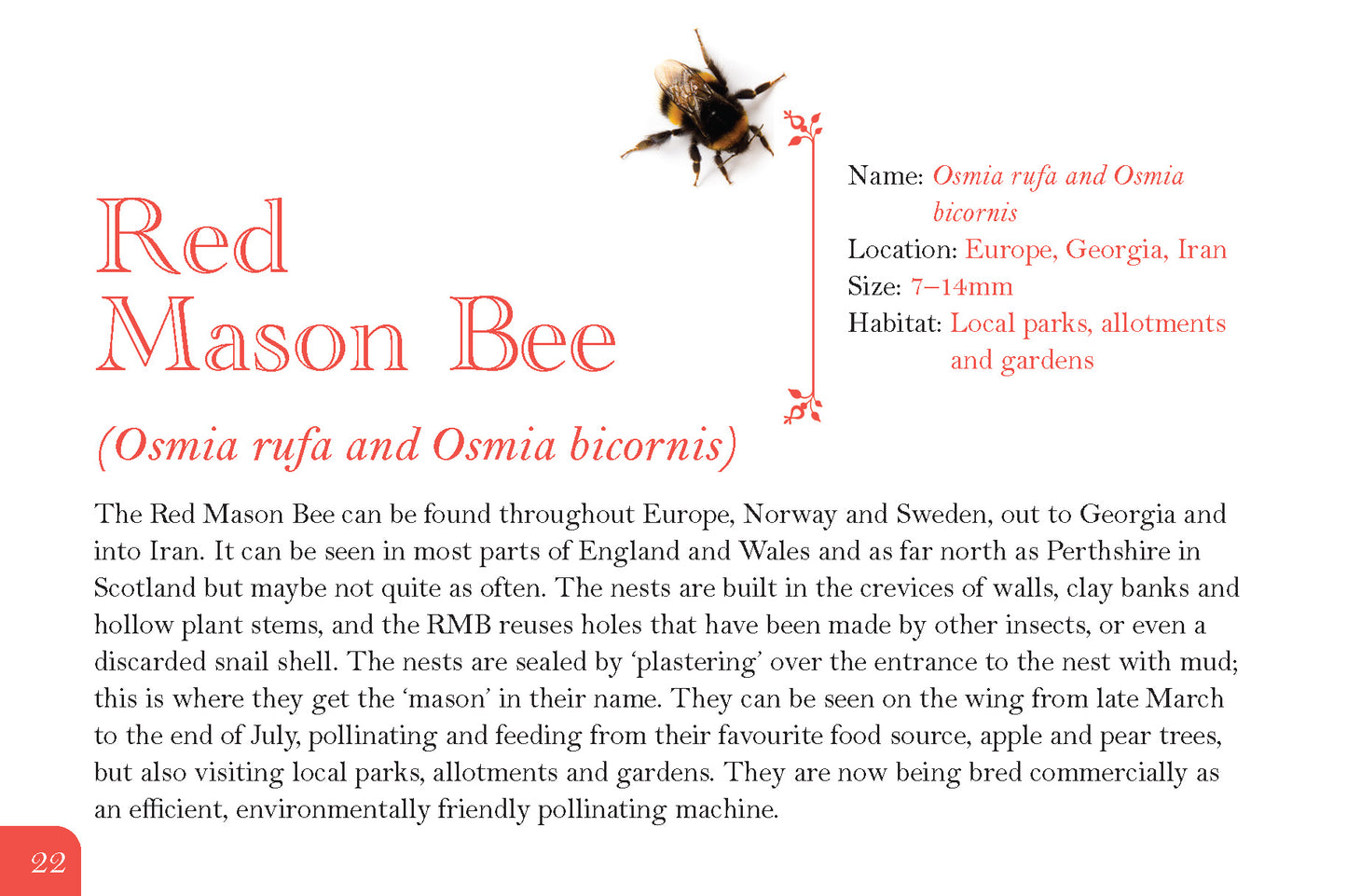 Know Your Bees - Fox Chapel Publishing Co.