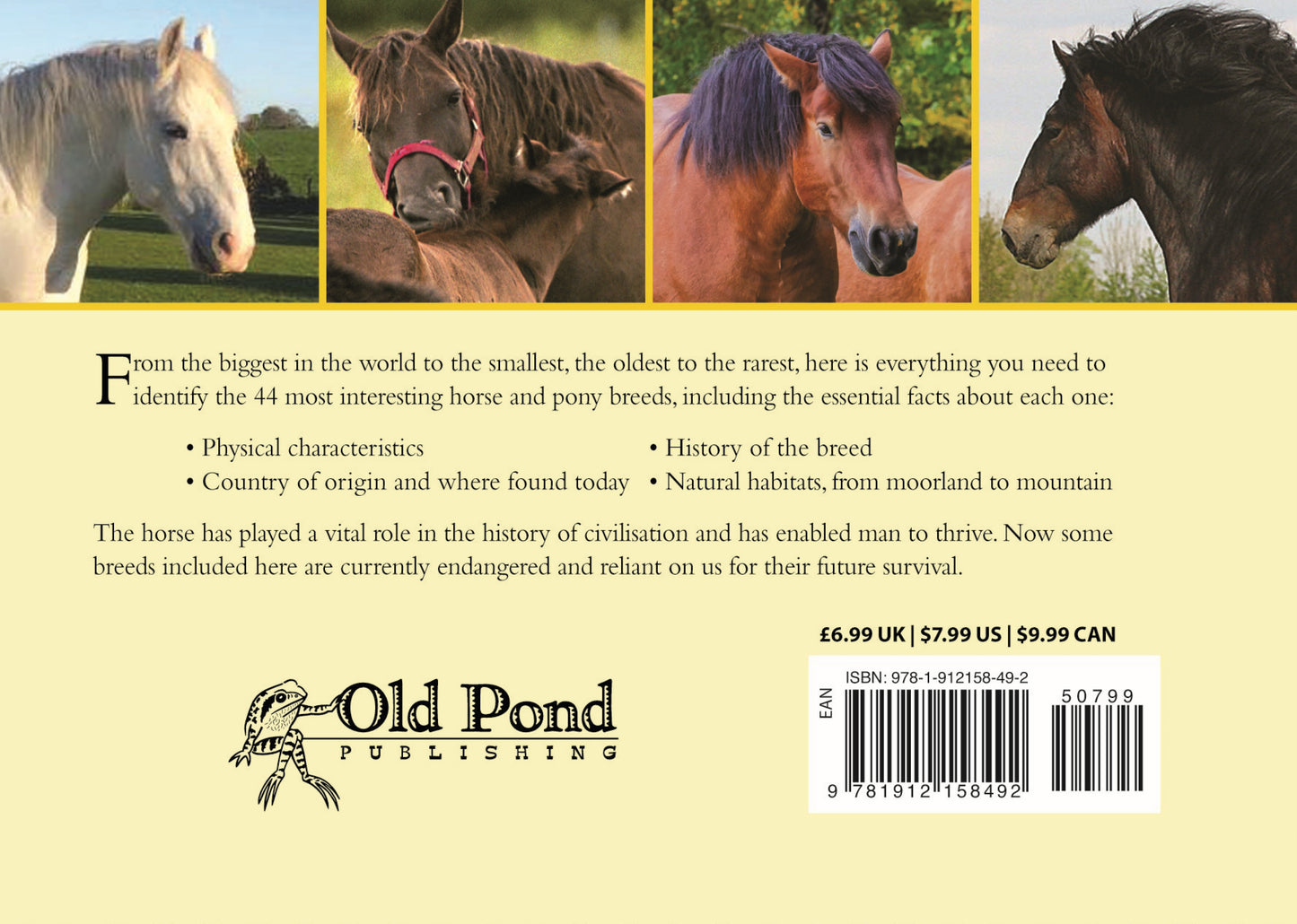 Know Your Horses - Fox Chapel Publishing Co.
