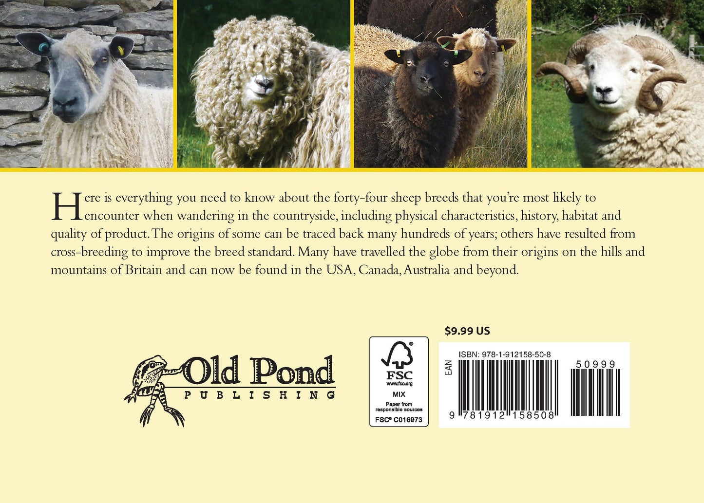 Know Your Sheep