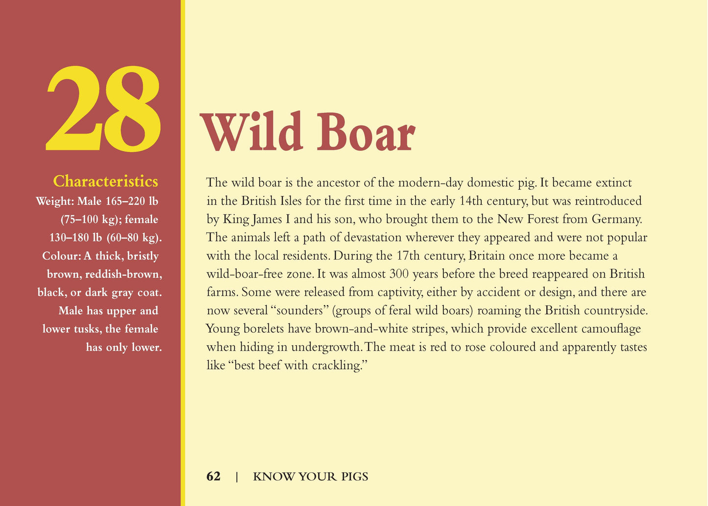 Know Your Pigs - Fox Chapel Publishing Co.