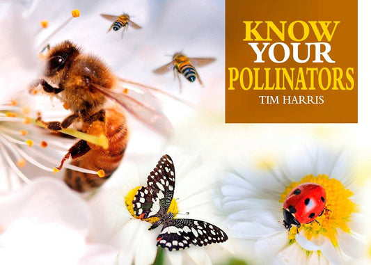 Know Your Pollinators - Fox Chapel Publishing Co.