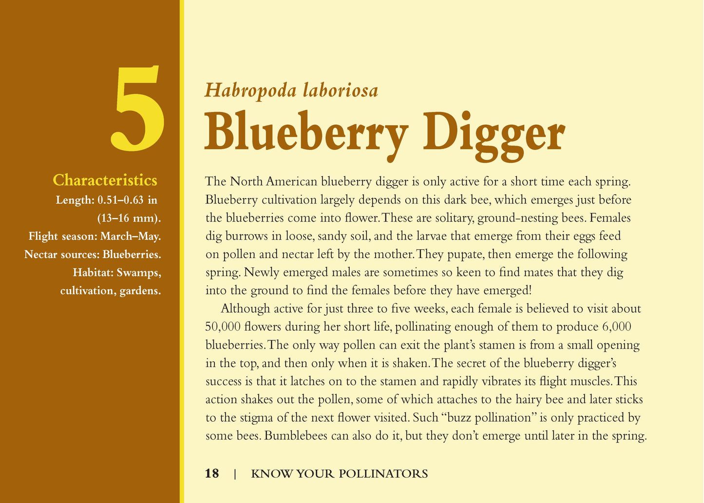 Know Your Pollinators - Fox Chapel Publishing Co.