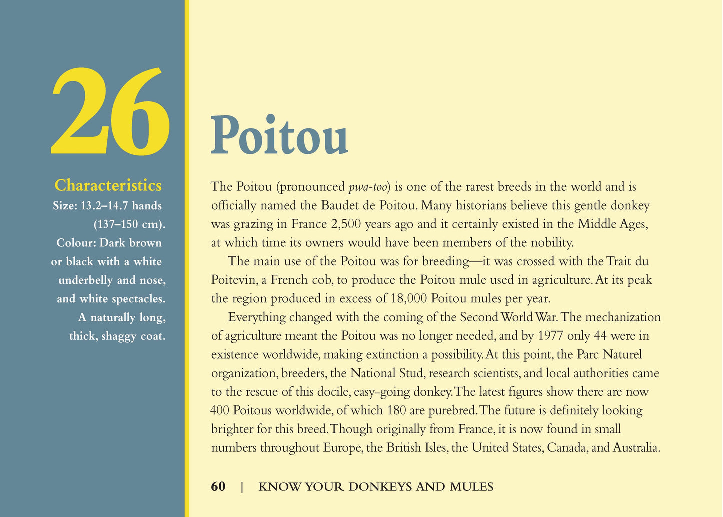 Know Your Donkeys & Mules