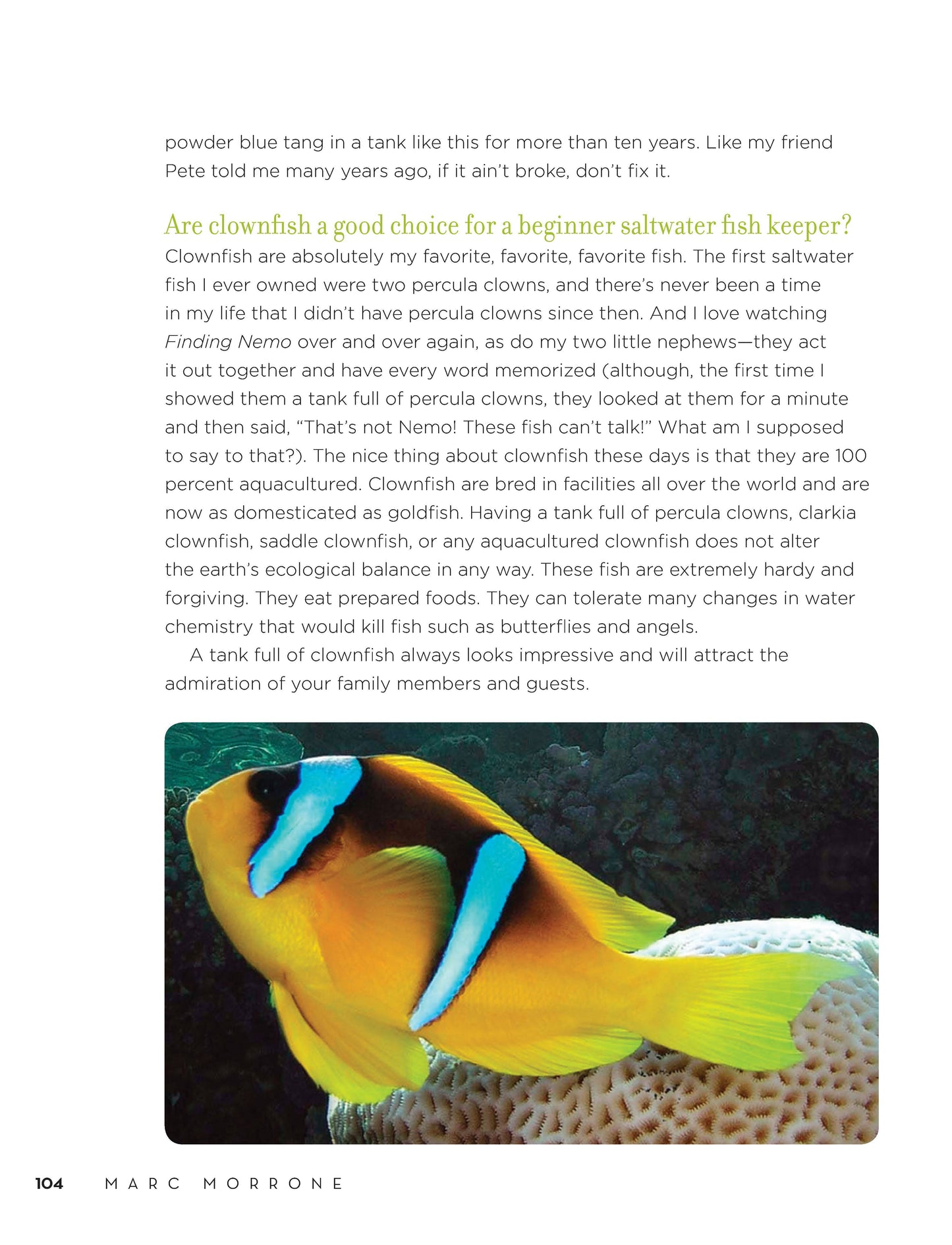 Marc Morrone's Ask the Fish Keeper