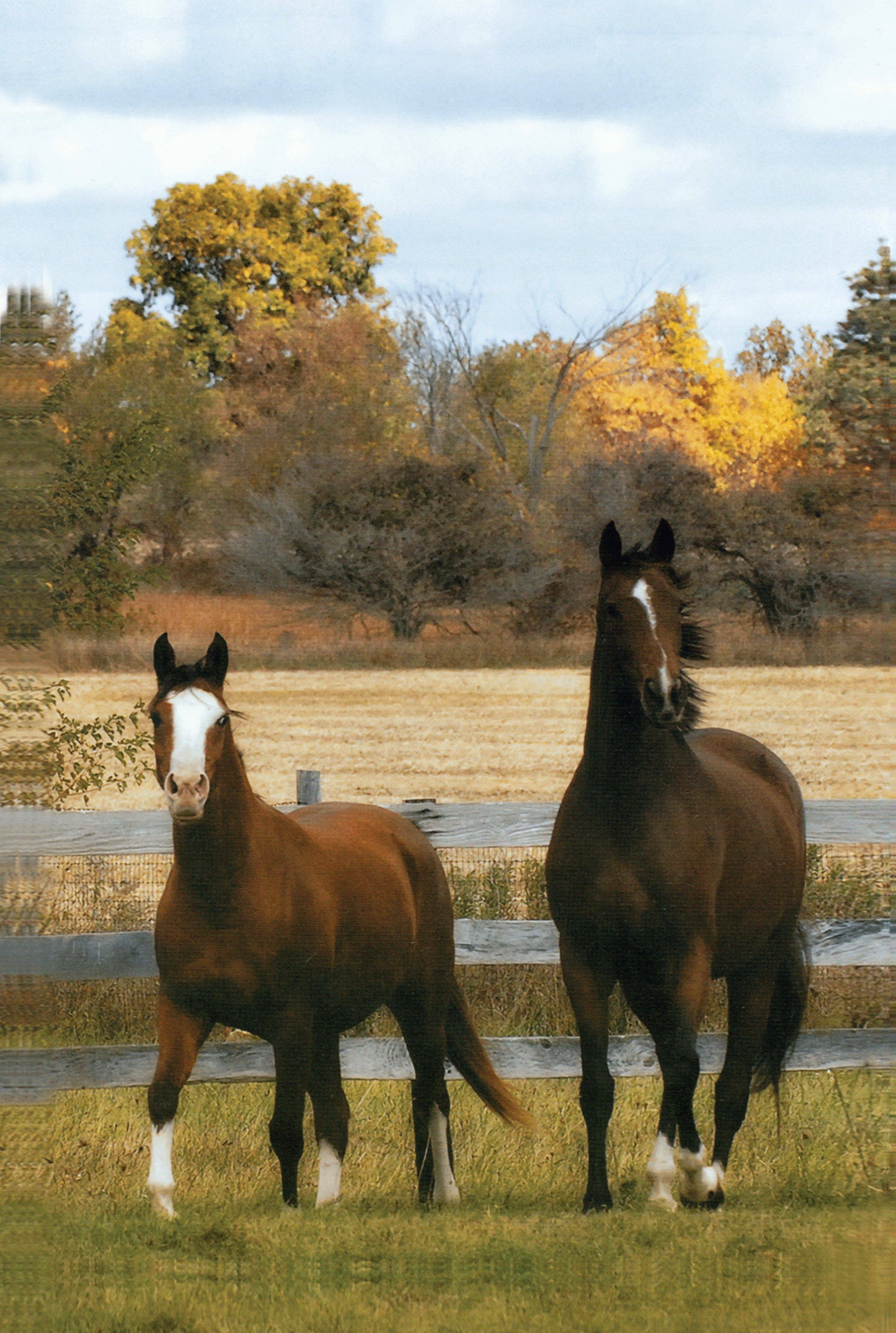 The Horse Book of Lists - Fox Chapel Publishing Co.