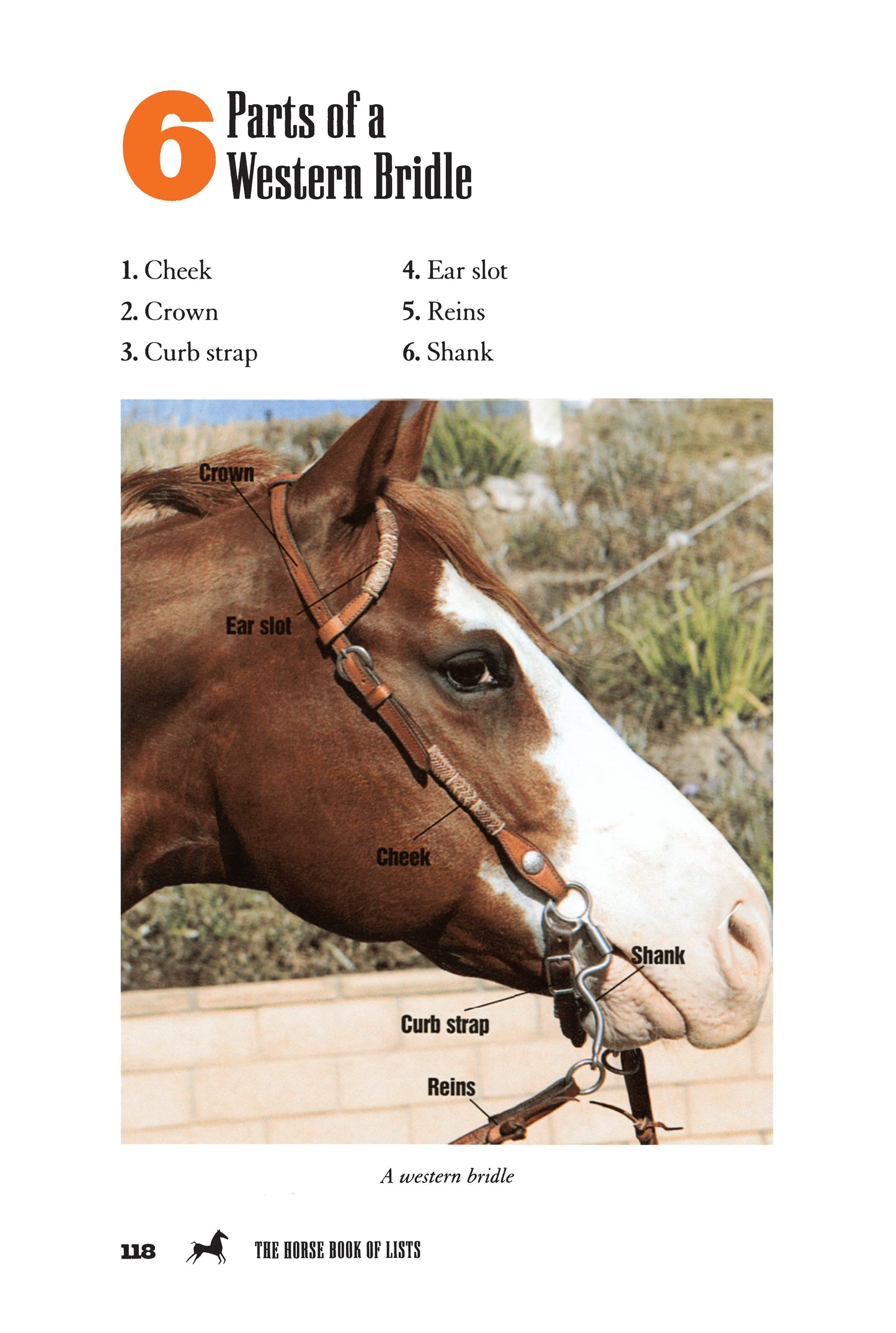 The Horse Book of Lists - Fox Chapel Publishing Co.
