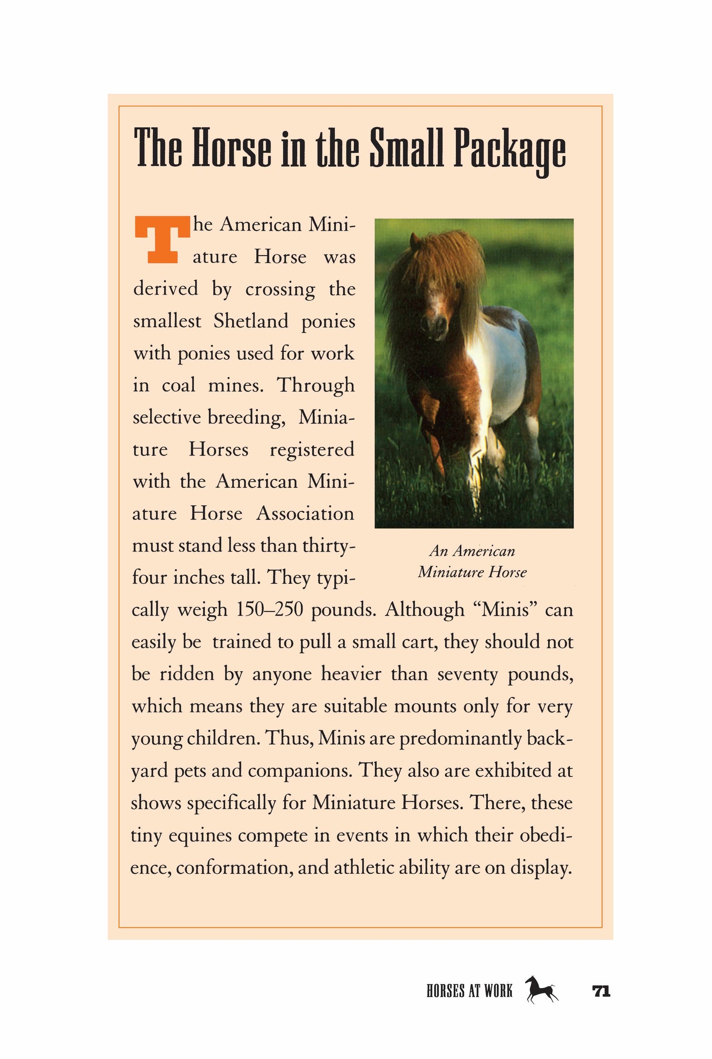 The Horse Book of Lists - Fox Chapel Publishing Co.