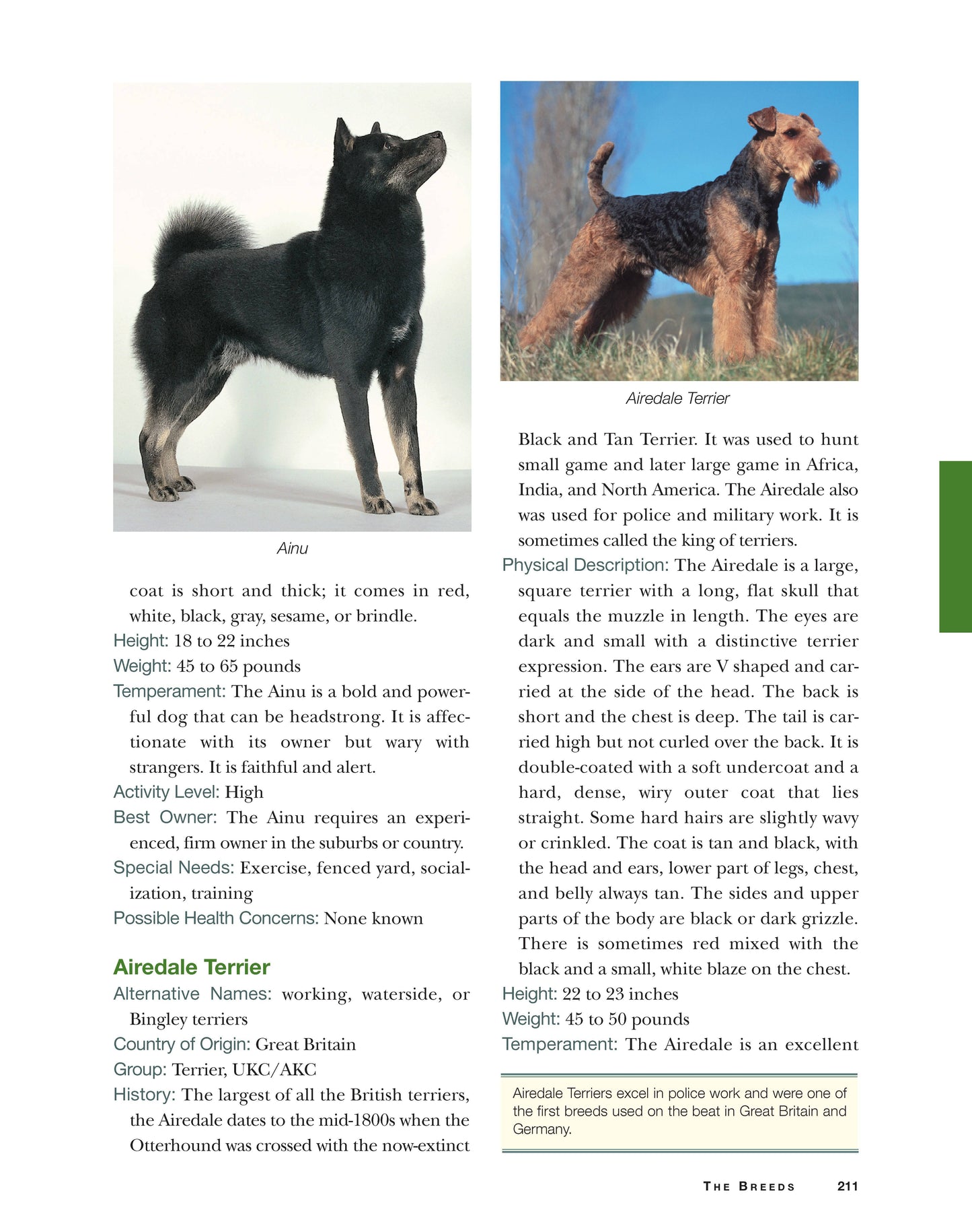 Original Dog Bible, 2nd Edition