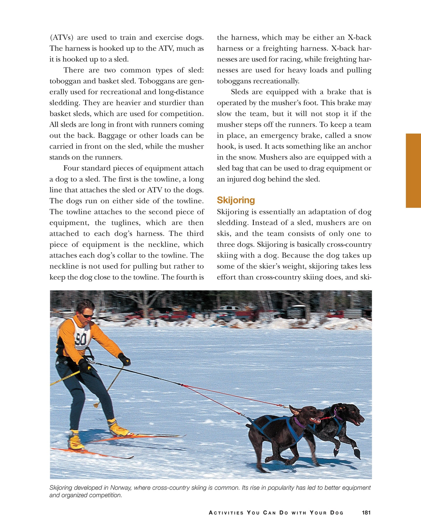 Original Dog Bible, 2nd Edition