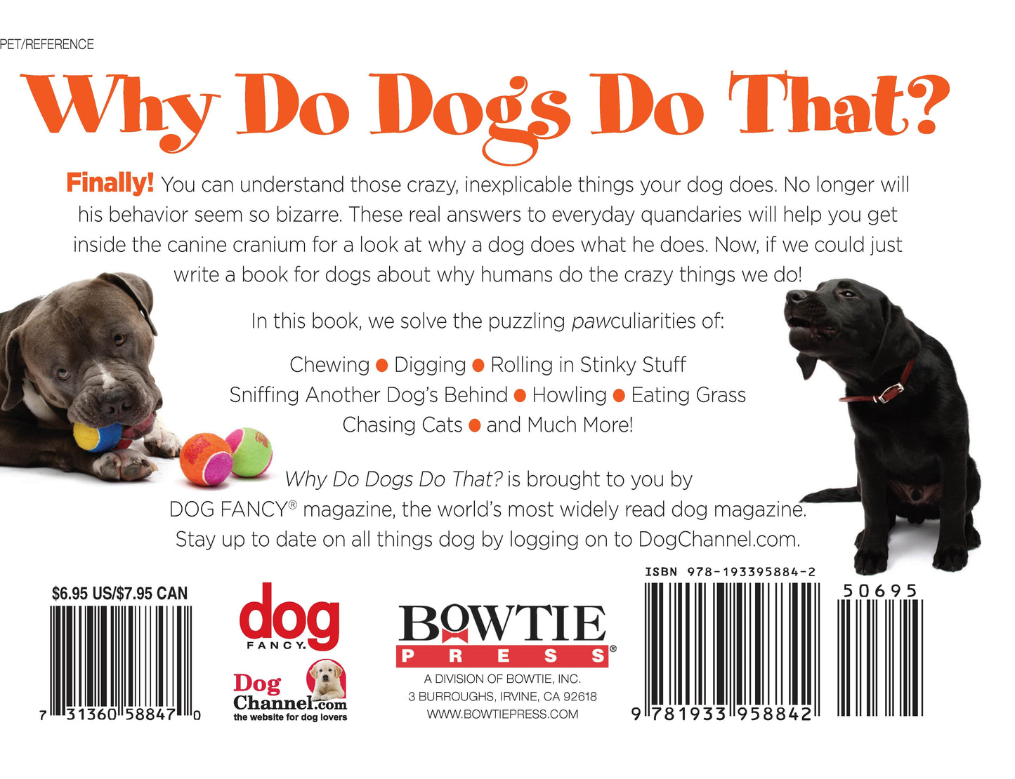 Why Do Dogs Do That?