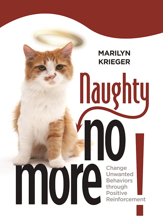 Naughty No More! - Fox Chapel Publishing Co.
