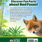 Kids' Backyard Safari: Red Foxes