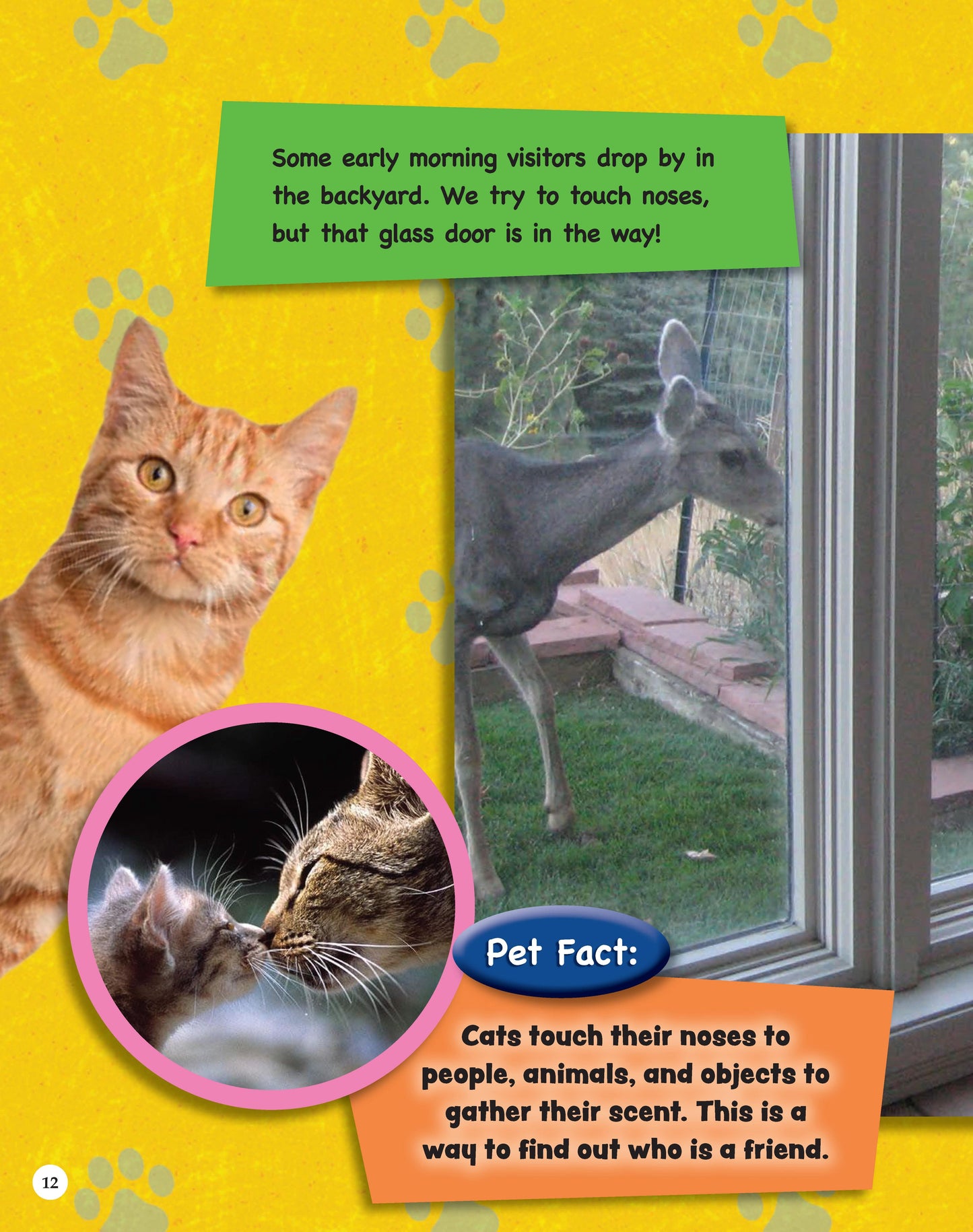 If Animals Could Talk: Cats - Fox Chapel Publishing Co.