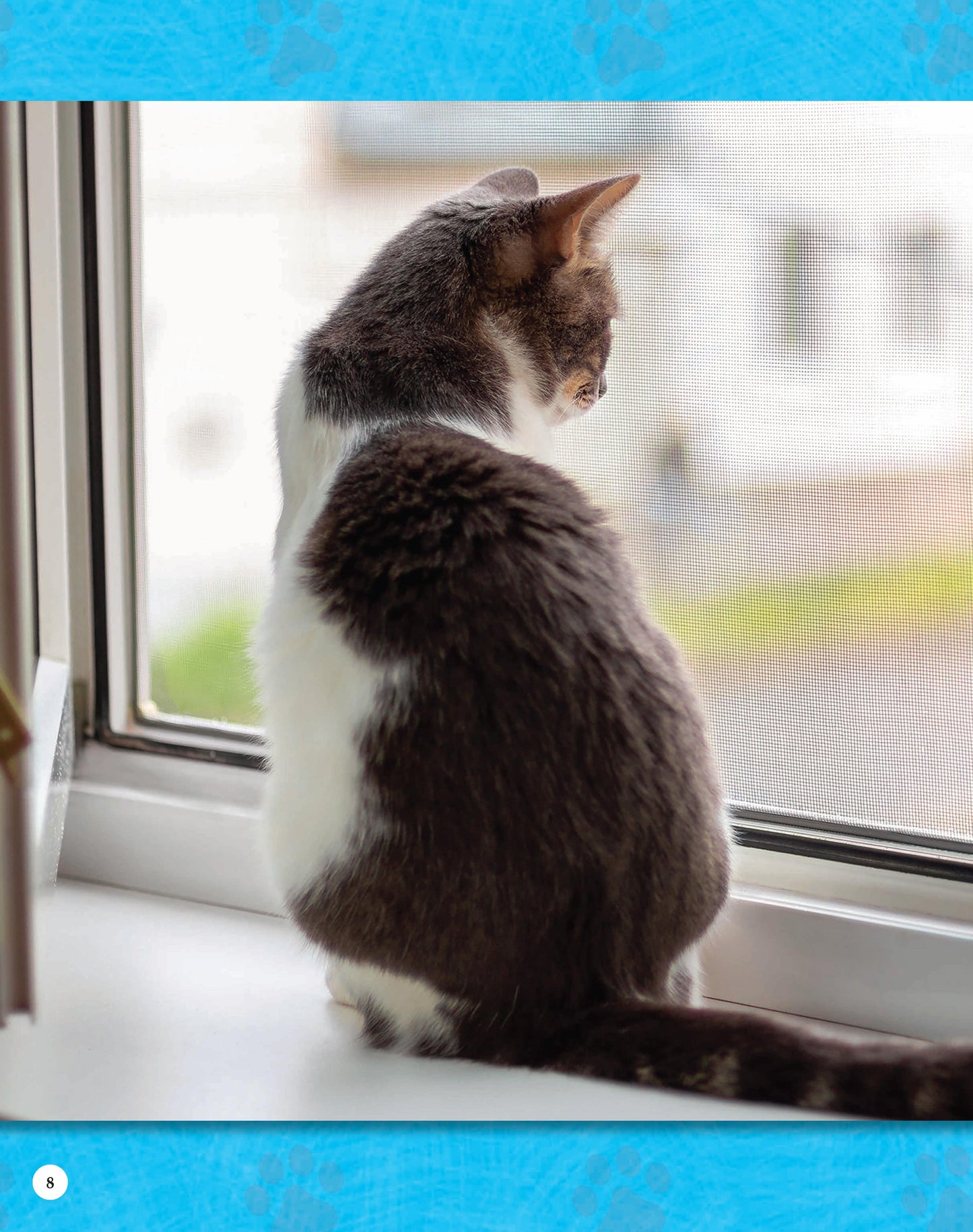 If Animals Could Talk: Cats - Fox Chapel Publishing Co.
