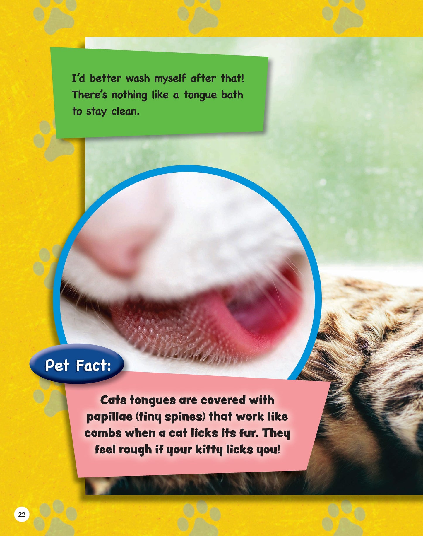 If Animals Could Talk: Cats - Fox Chapel Publishing Co.