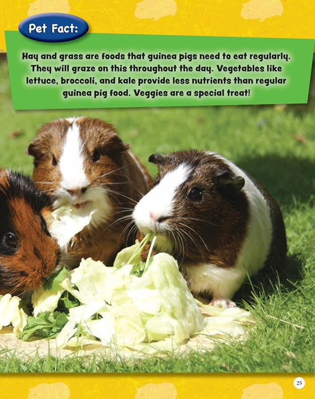 If Animals Could Talk: Guinea Pigs
