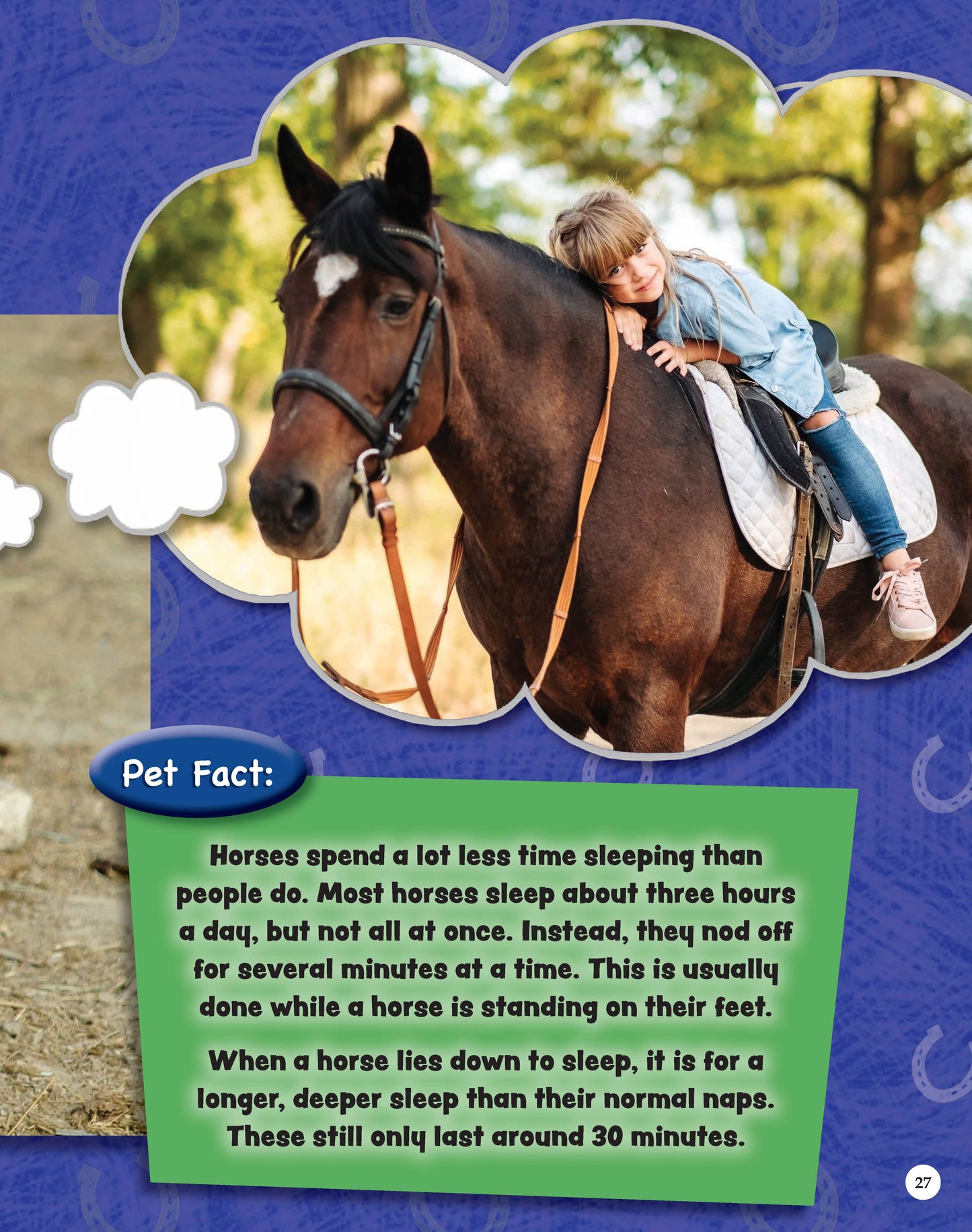 If Animals Could Talk: Horses - Fox Chapel Publishing Co.