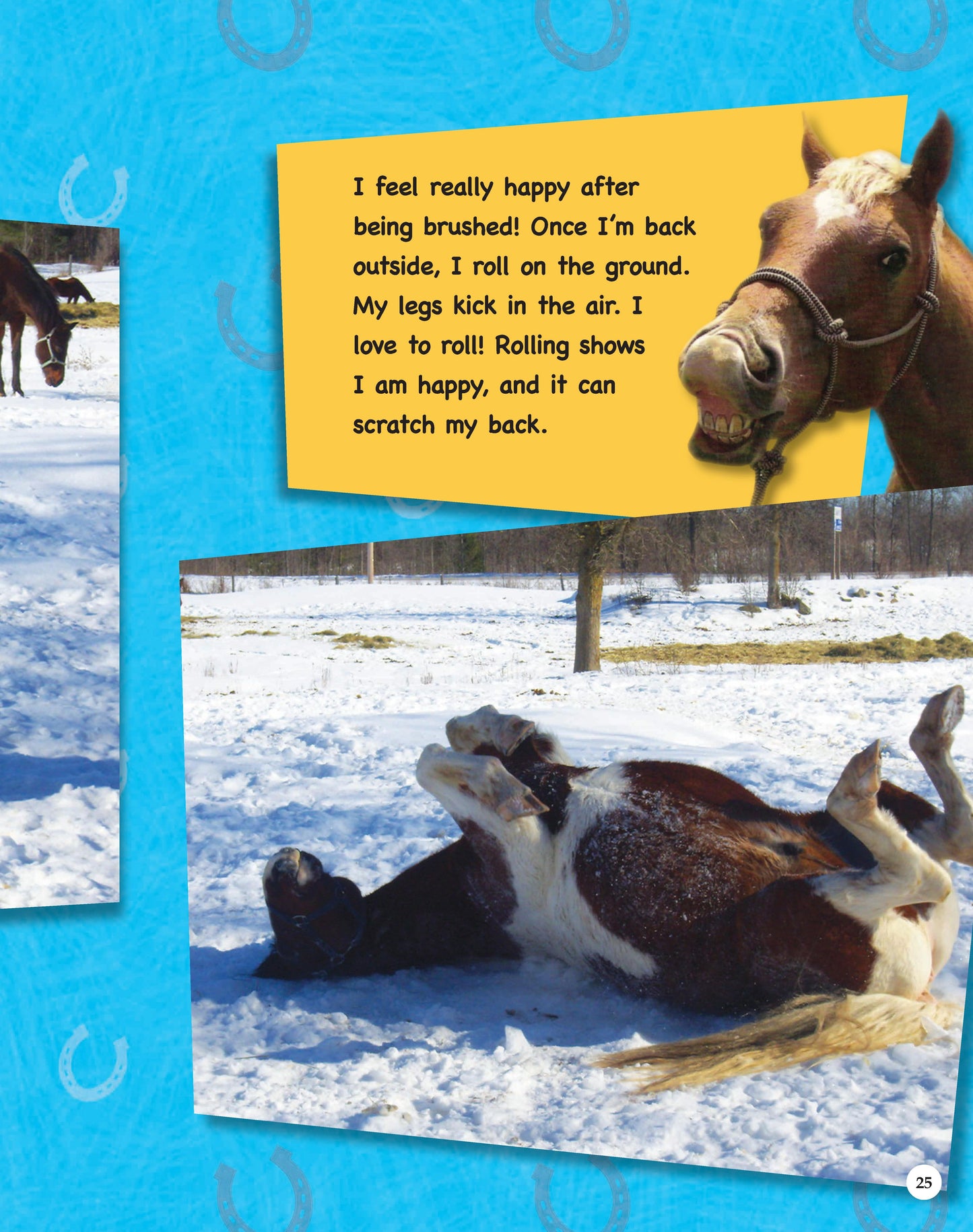 If Animals Could Talk: Horses - Fox Chapel Publishing Co.
