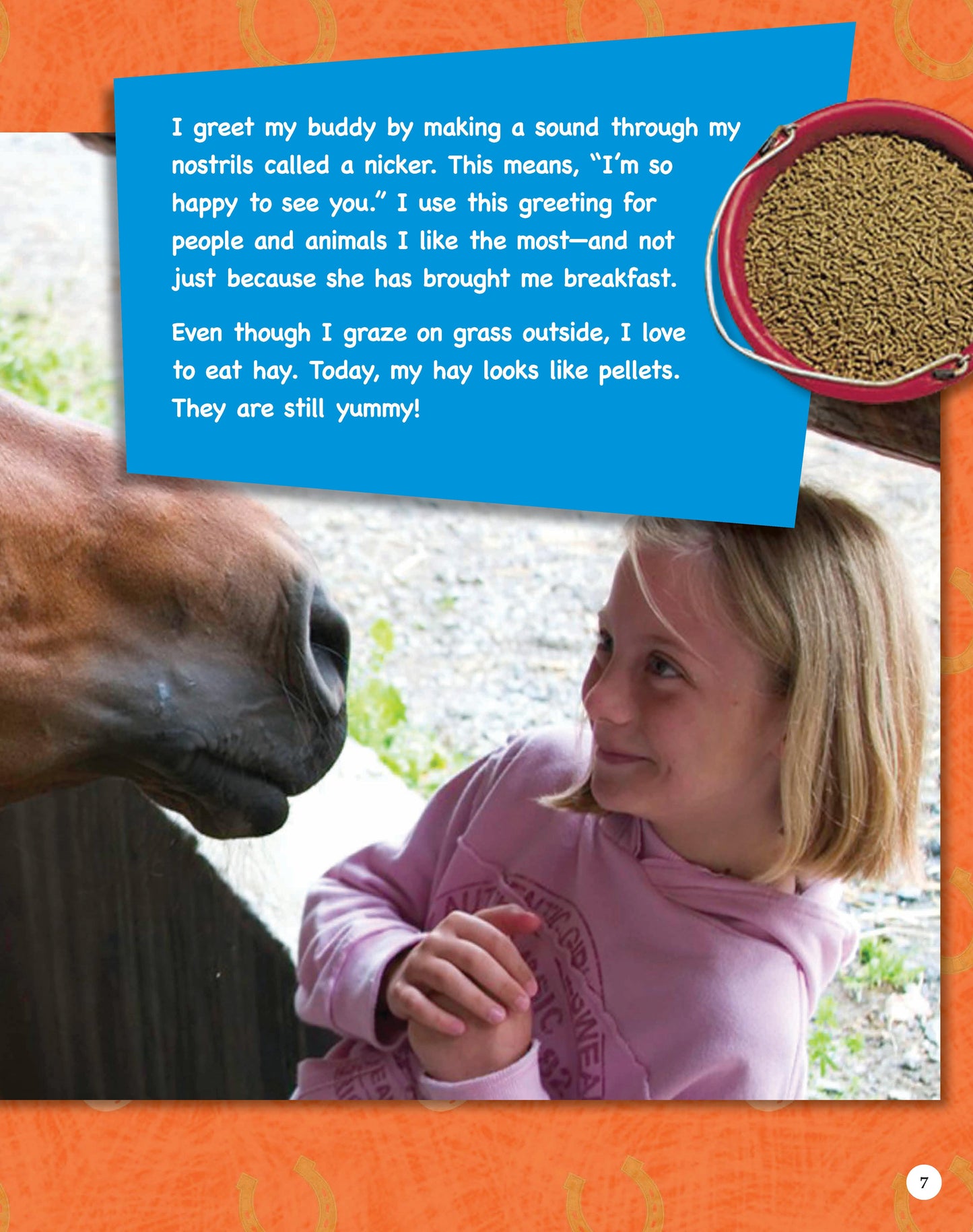If Animals Could Talk: Horses - Fox Chapel Publishing Co.