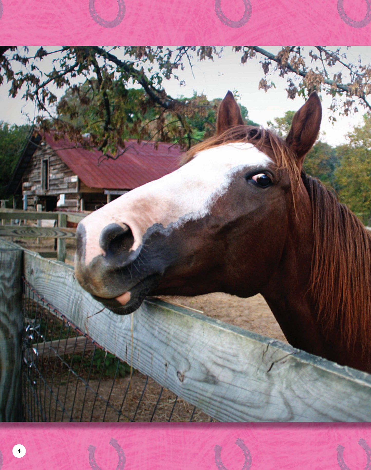 If Animals Could Talk: Horses