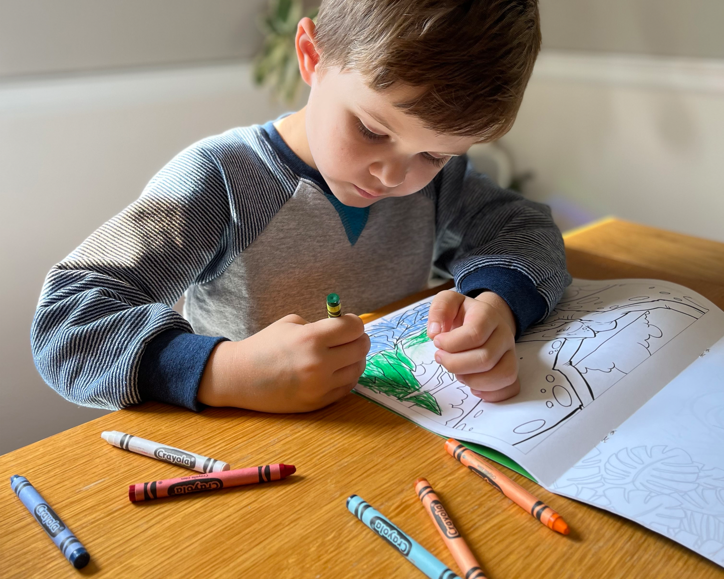 Dinosaurs Coloring Book Customized - Fox Chapel Publishing Co.
