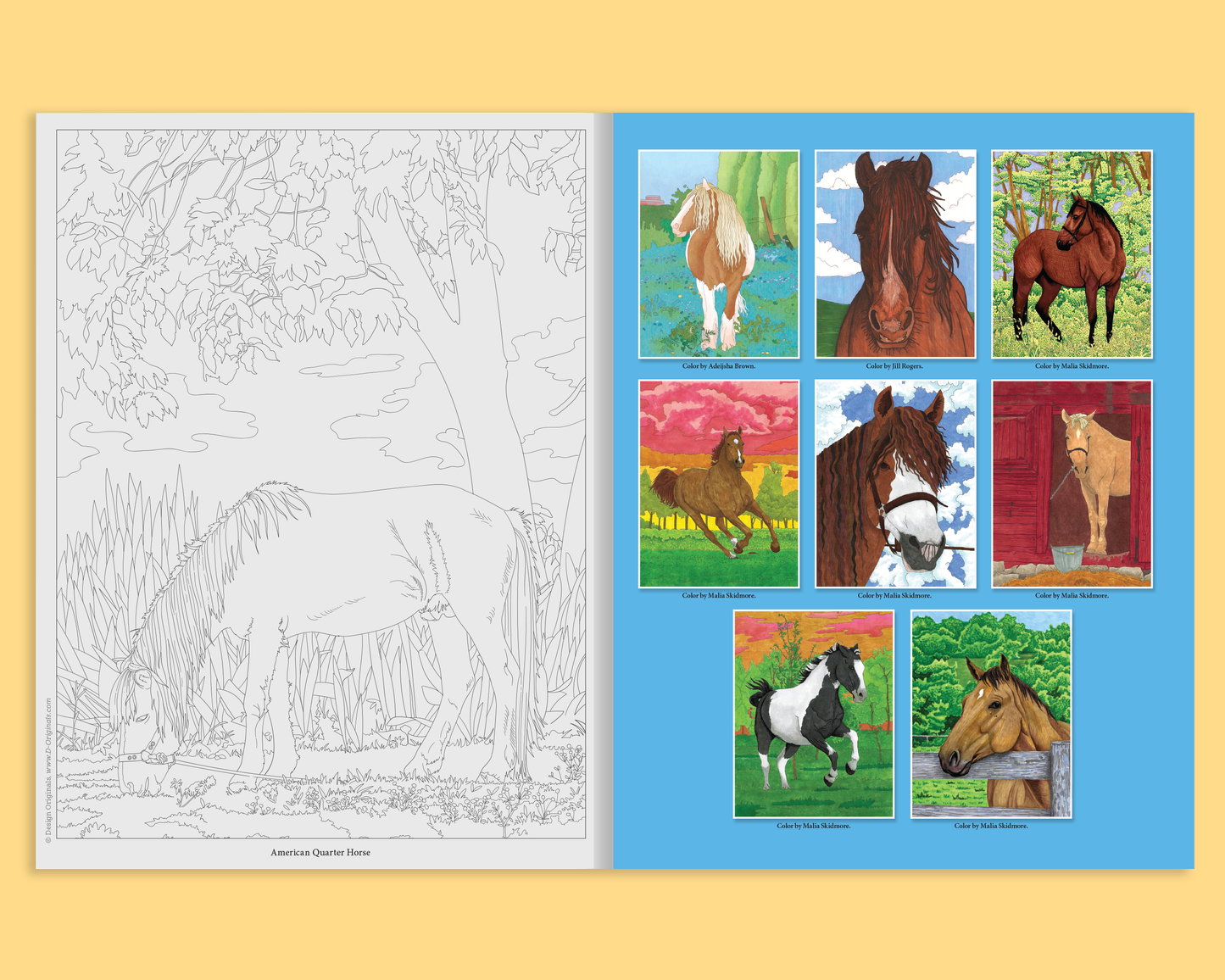 Horses Coloring Book Customized