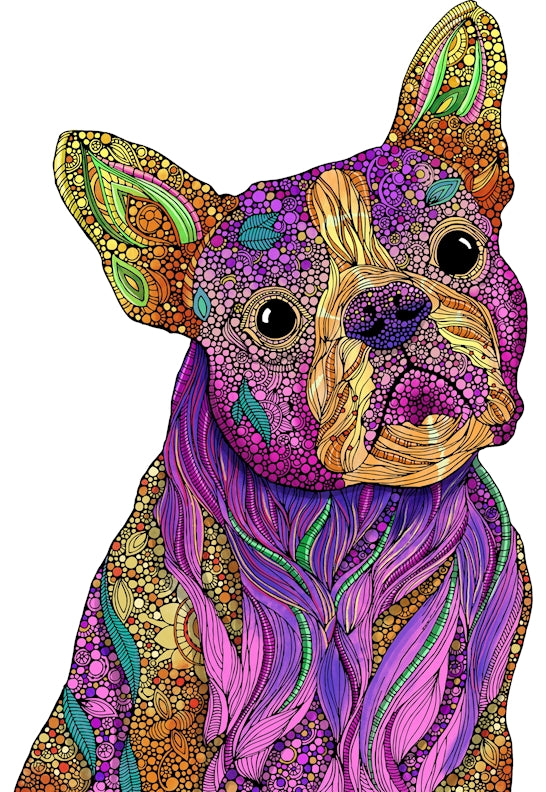 Buddy Coloring Poster (Dog)