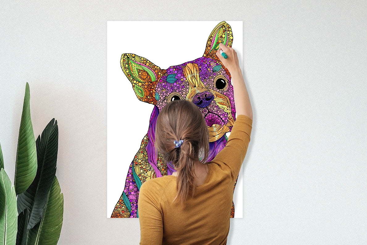 Buddy the Boston Terrier Dog, 24x36 Coloring Poster - Fox Chapel Publishing Co.