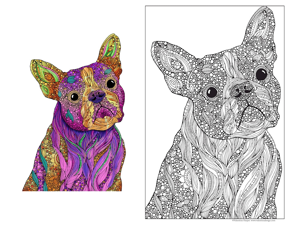 Buddy the Boston Terrier Dog, 24x36 Coloring Poster - Fox Chapel Publishing Co.