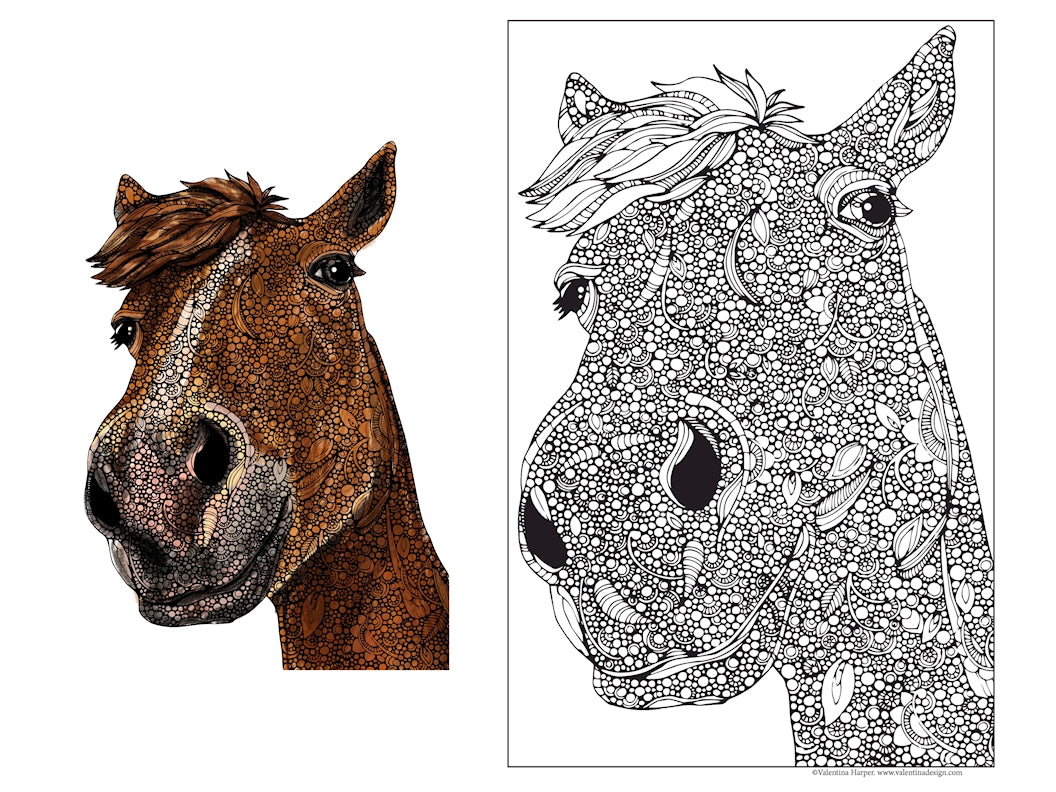 Hank the Horse, 24x36 Coloring Poster - Fox Chapel Publishing Co.