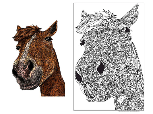 Hank the Horse, 24x36 Coloring Poster - Fox Chapel Publishing Co.