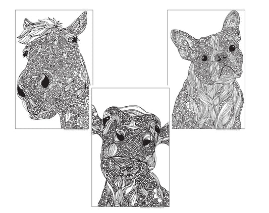 Set of 3, 24x36 Adult Coloring Posters: Cow, Dog & Horse – 25% Savings When Purchased as a Set - Fox Chapel Publishing Co.