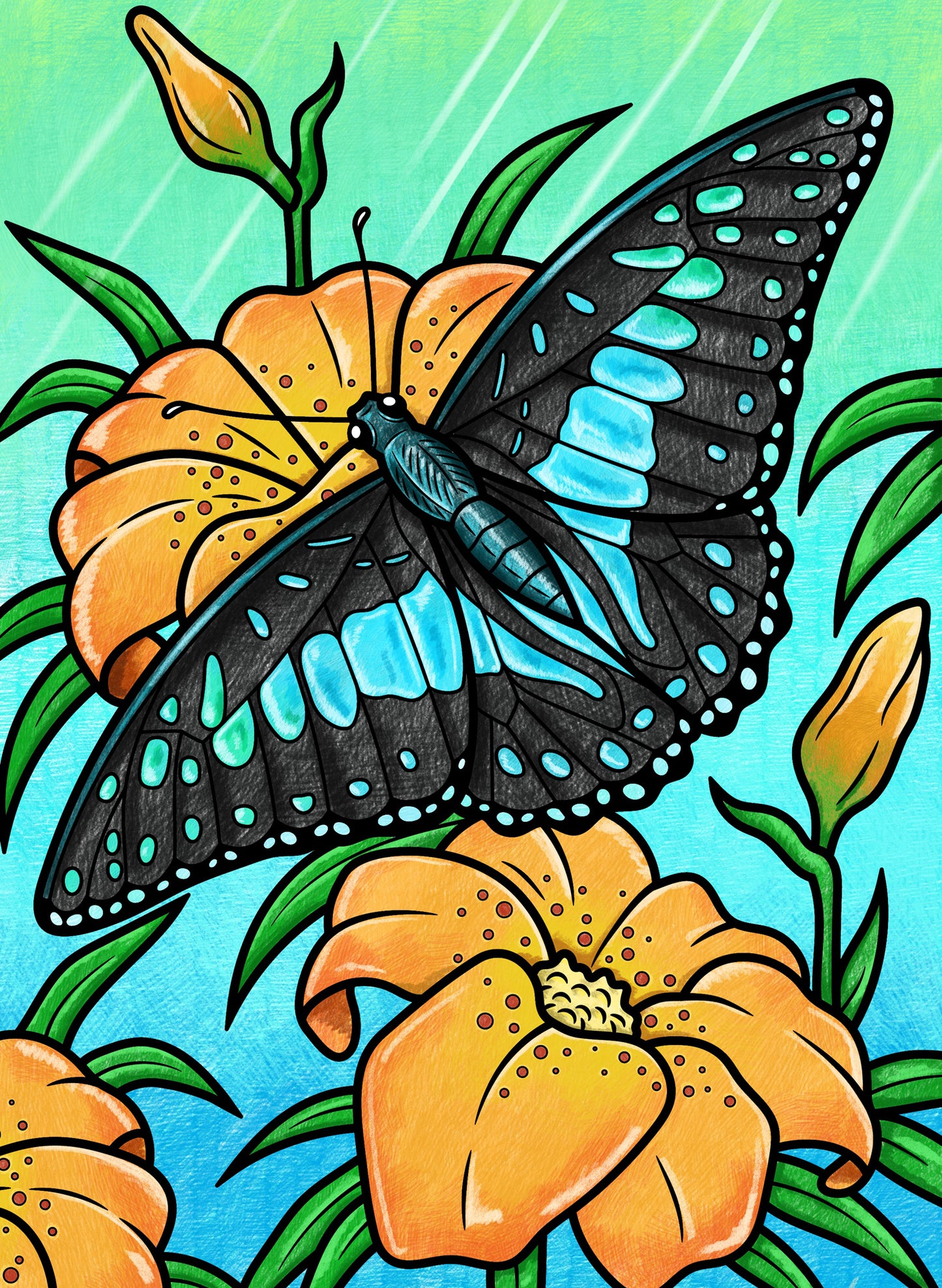 Annabella the Butterfly 18x24 Coloring Poster