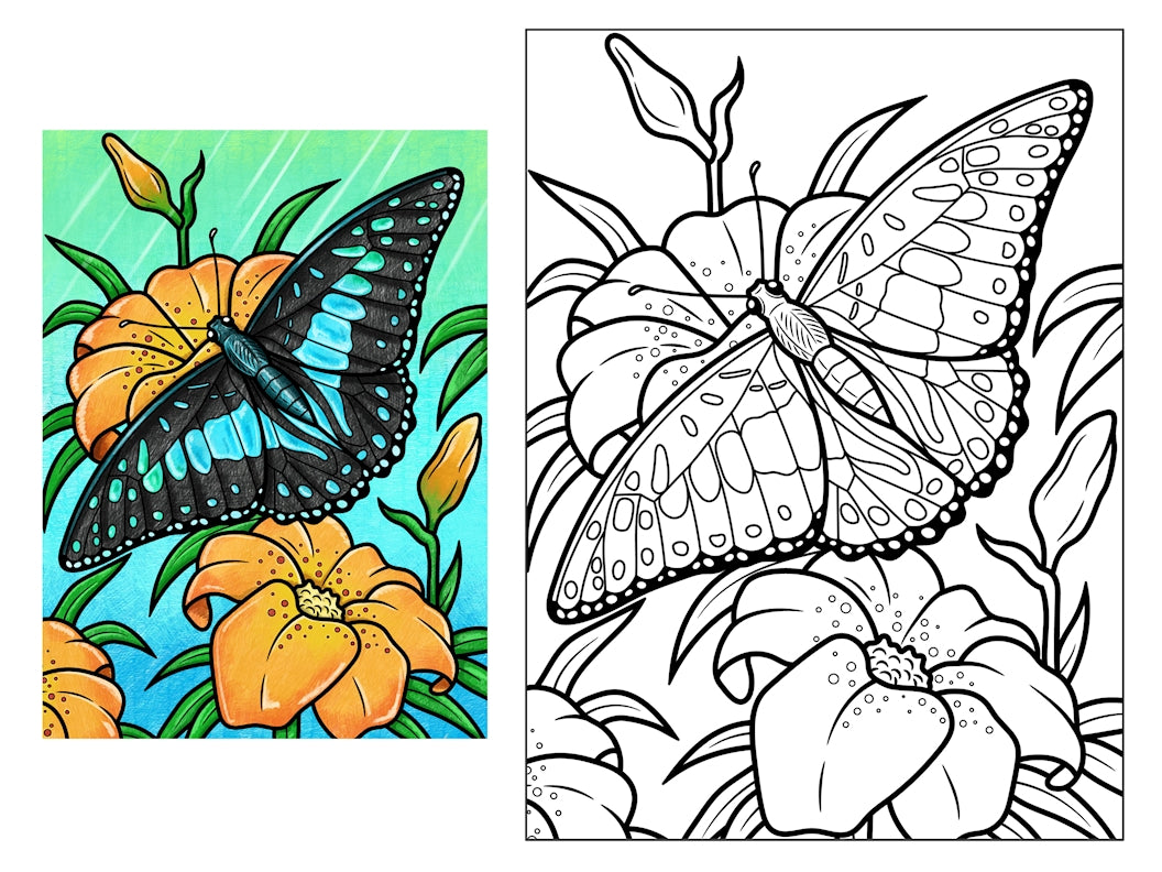 Annabella the Butterfly 18x24 Coloring Poster - Fox Chapel Publishing Co.