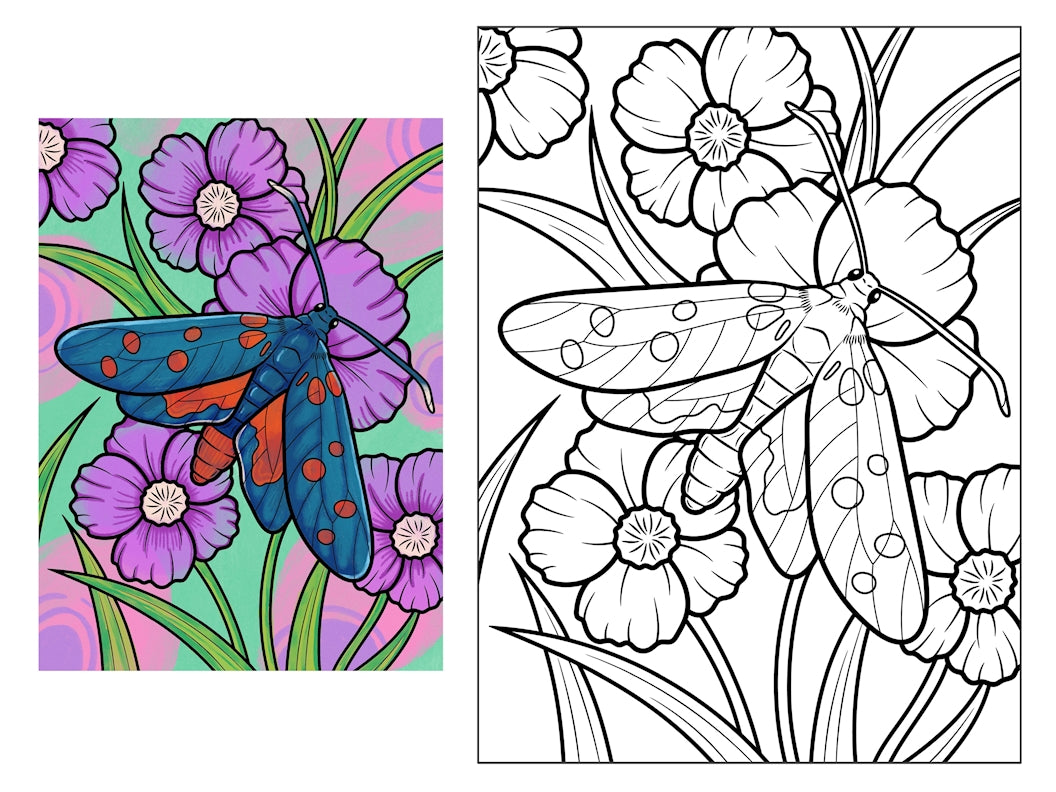 Luna the Spotted Moth 18x24 Coloring Poster - Fox Chapel Publishing Co.