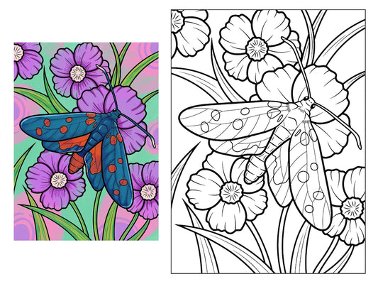 Luna the Spotted Moth 18x24 Coloring Poster - Fox Chapel Publishing Co.