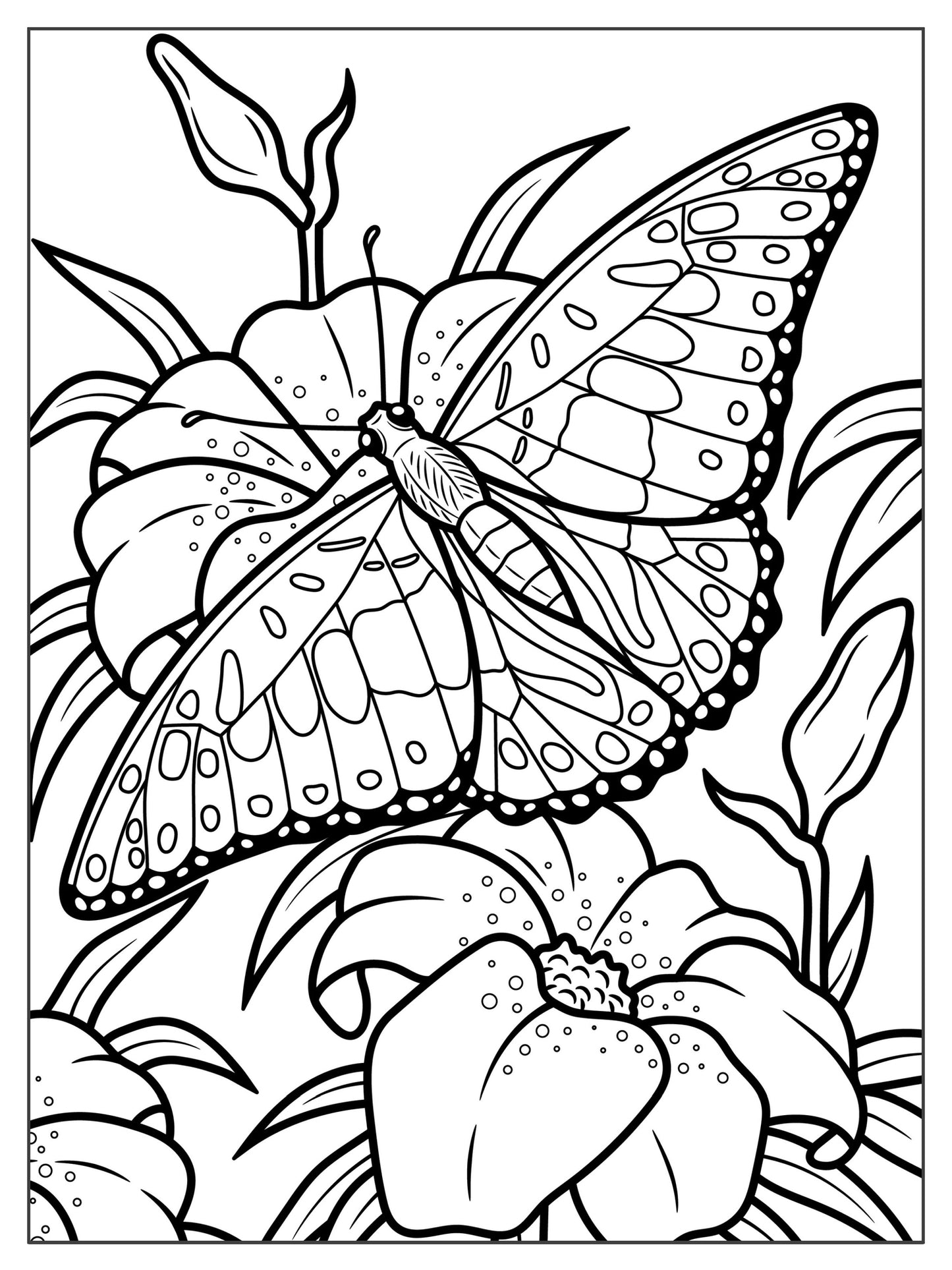 Set of 3, 18x24 Kids Coloring Posters: Butterfly, Praying Mantis & Spotted Moth – 25% Savings When Purchased as a Set - Fox Chapel Publishing Co.