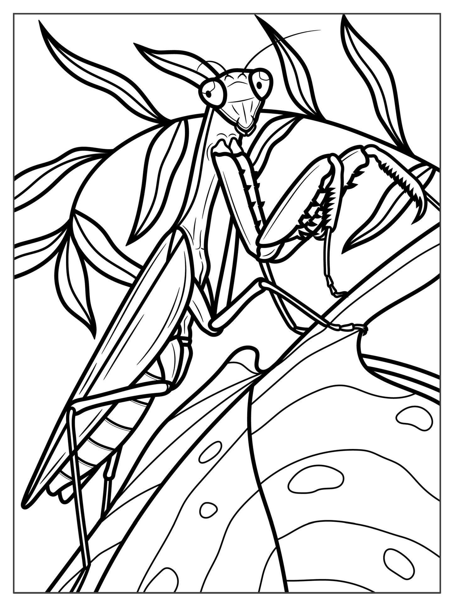 Set of 3, 18x24 Kids Coloring Posters: Butterfly, Praying Mantis & Spotted Moth – 25% Savings When Purchased as a Set - Fox Chapel Publishing Co.