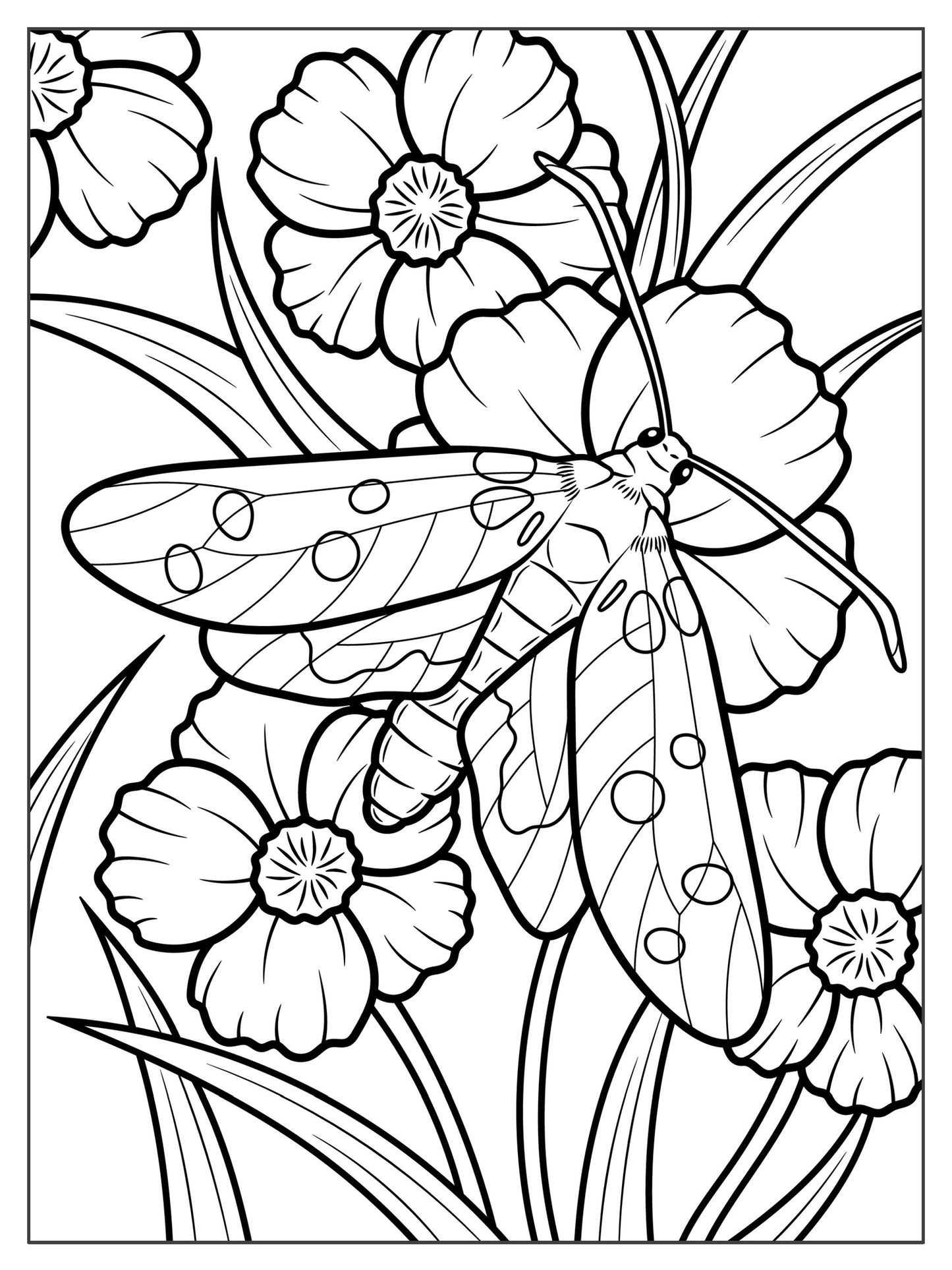 Set of 3, 18x24 Kids Coloring Posters: Butterfly, Praying Mantis & Spotted Moth – 25% Savings When Purchased as a Set - Fox Chapel Publishing Co.